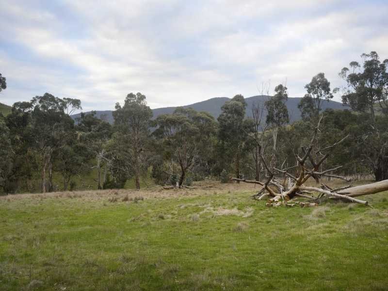 135 Cunninghams Road, Tyaak VIC 3658