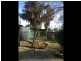 39 Piper Street, Broadford VIC 3658