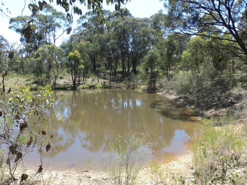 450 Sugarloaf Creek Road, Broadford VIC 3658