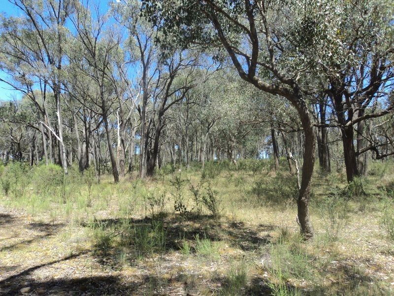 450 Sugarloaf Creek Road, Broadford VIC 3658