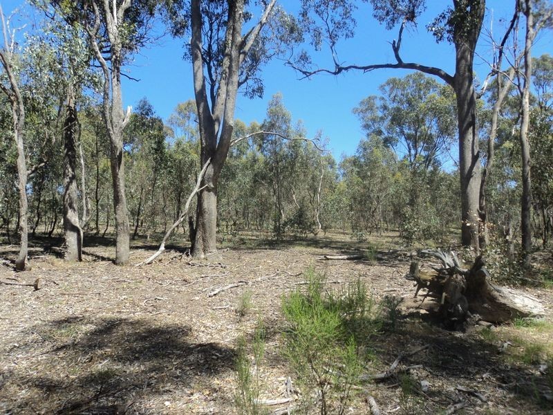 450 Sugarloaf Creek Road, Broadford VIC 3658