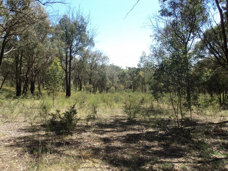 450 Sugarloaf Creek Road, Broadford VIC 3658