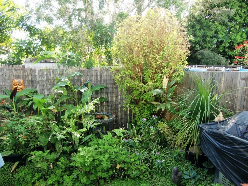 2/14A Macquarie Street, Booval QLD 4304