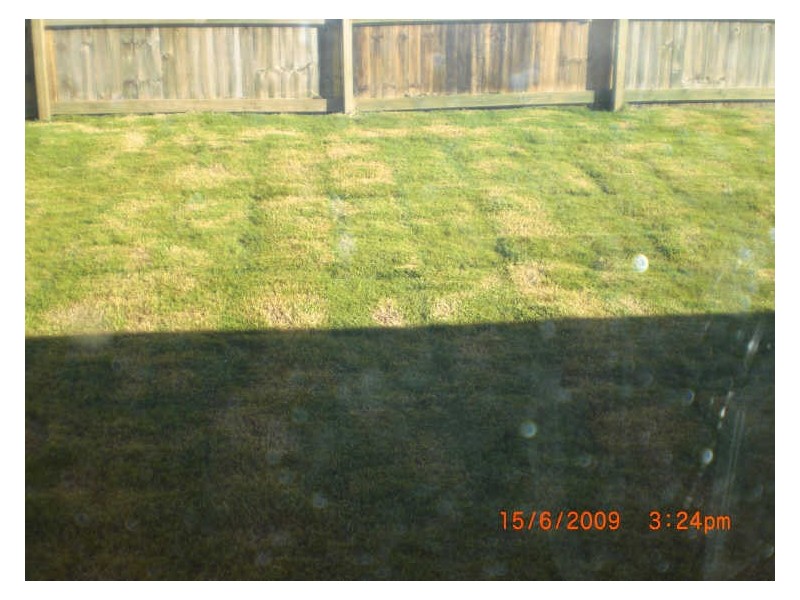 1/7 Explorer Street, Raceview QLD 4305