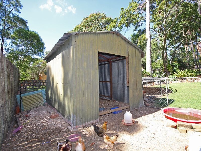 3 Daisy Av, North Ipswich QLD 4305