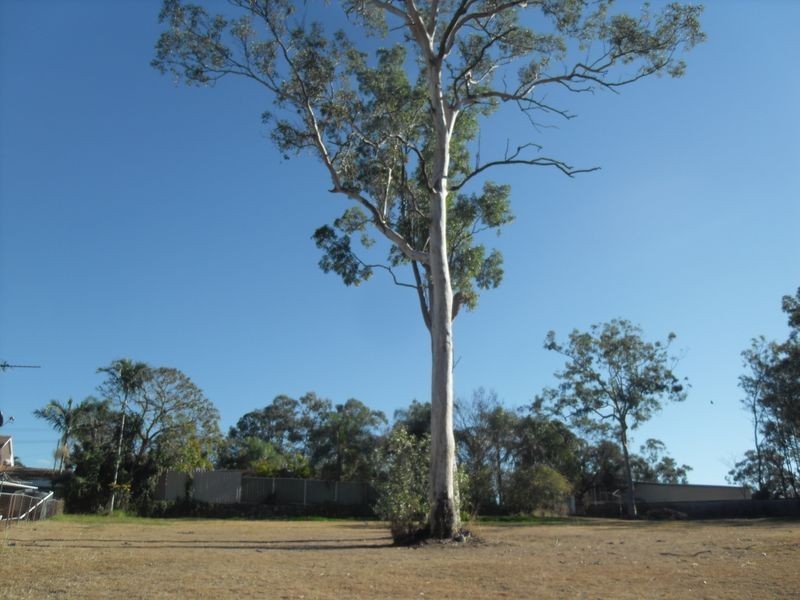 14 Vauxhall Street, Basin Pocket QLD 4305