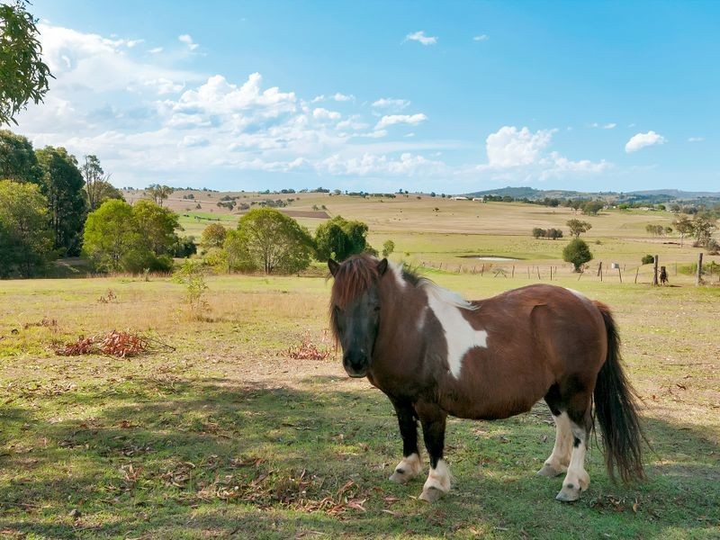 24 Robson Road, Boonah QLD 4310