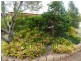 2 Bayley Road, Pine Mountain QLD 4306
