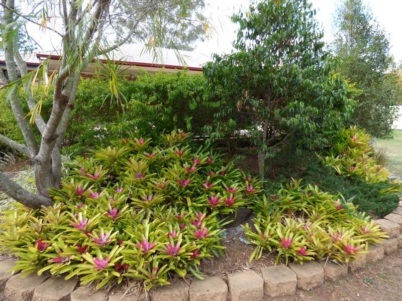 2 Bayley Road, Pine Mountain QLD 4306