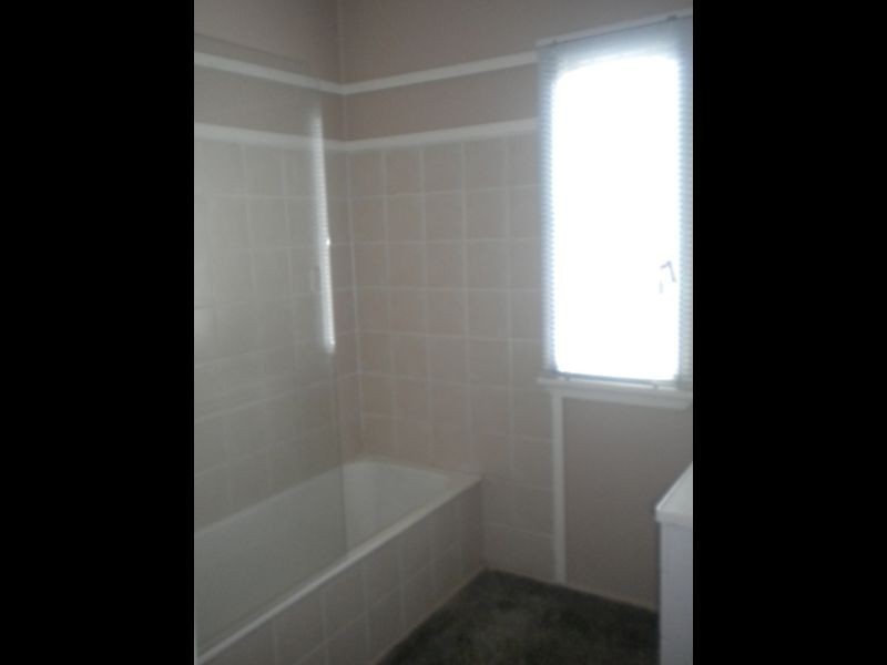 17 Vineyard Street, One Mile QLD 4305