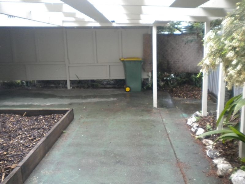 17 Vineyard Street, One Mile QLD 4305