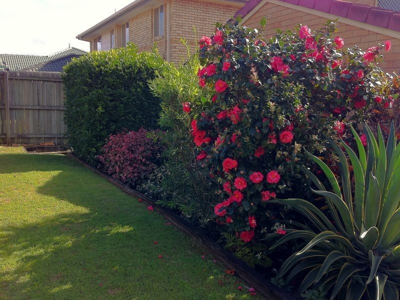 8 Michelle Court, Raceview QLD 4305