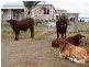 119 Red Bridge Road, Boonah QLD 4310