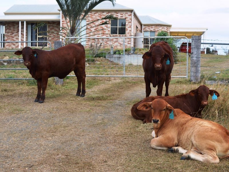 119 Red Bridge Road, Boonah QLD 4310
