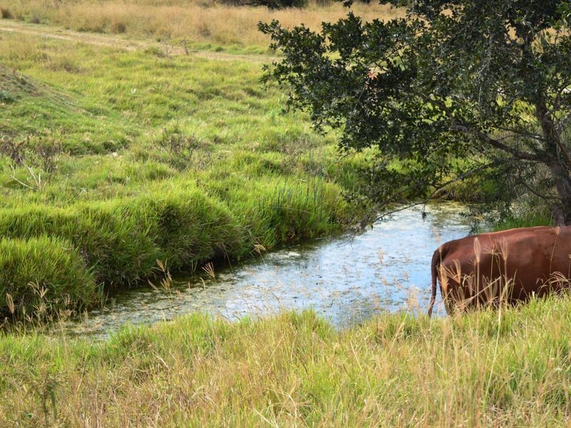 119 Red Bridge Road, Boonah QLD 4310