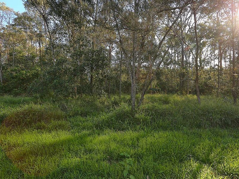 24 Jackson Court, Dinmore QLD 4303