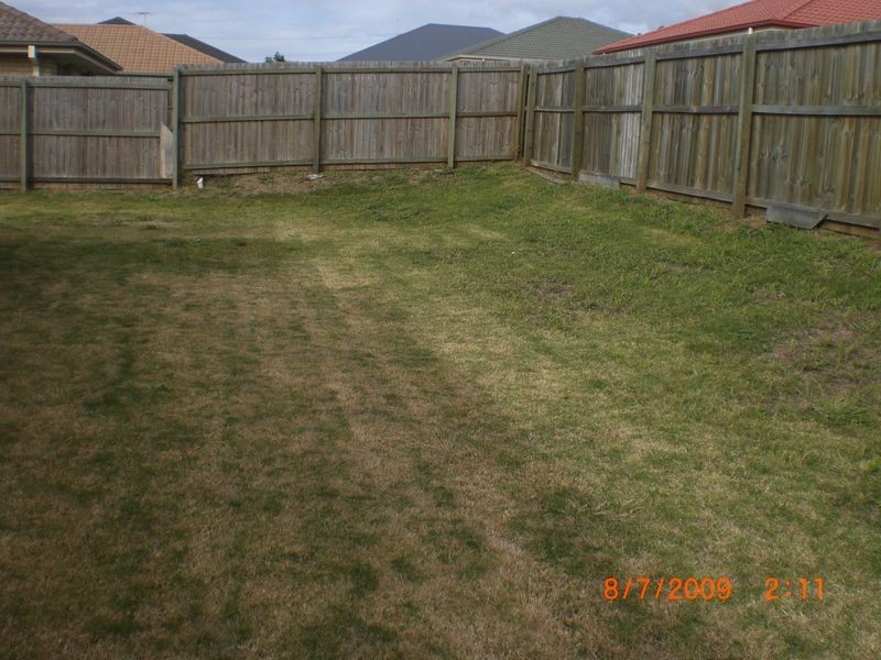 11 Acacia Close, Raceview QLD 4305