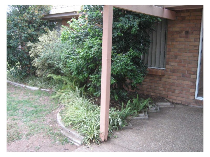 11 Cocos Place, Raceview QLD 4305
