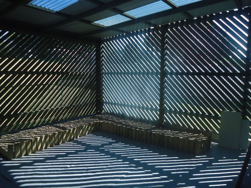 65 Vogel Road, Brassall QLD 4305