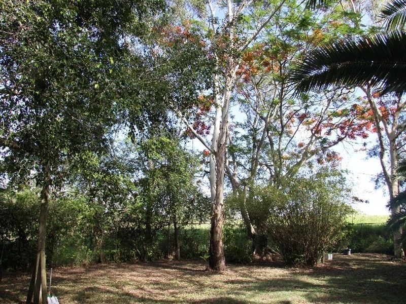 22 Blackall Street, East Ipswich QLD 4305