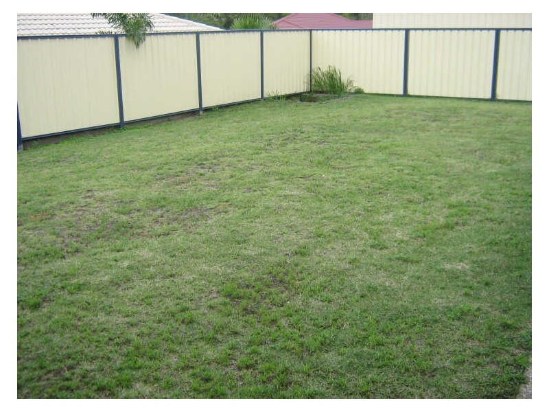 4 Ivanhoe Place, Brassall QLD 4305