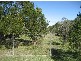 22 Queen Street, Walloon QLD 4306