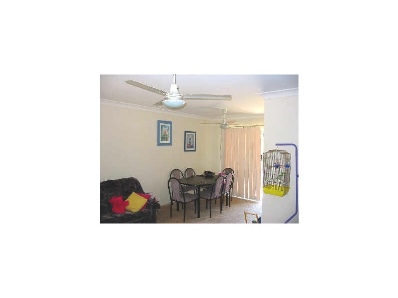 146 Wildey Street, Raceview QLD 4305