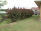 25 Jupiter Street, Wulkuraka QLD 4305