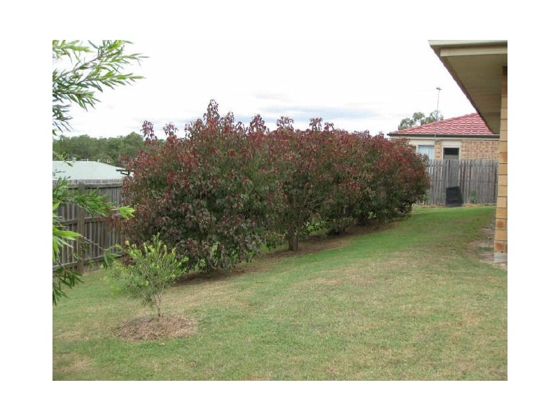 25 Jupiter Street, Wulkuraka QLD 4305