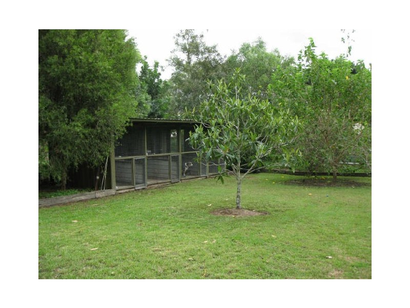 16 Poinciana Court, Walloon QLD 4306