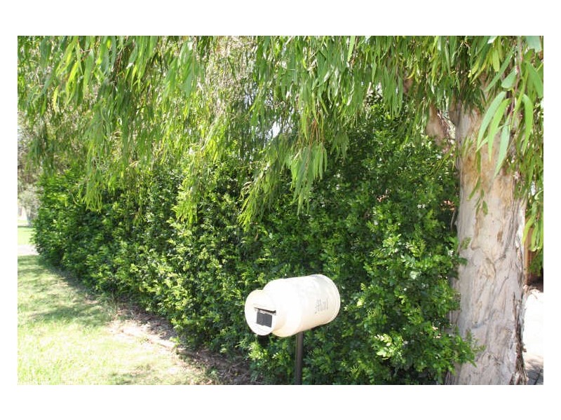 90 South Queensborough Parade, Karalee QLD 4306