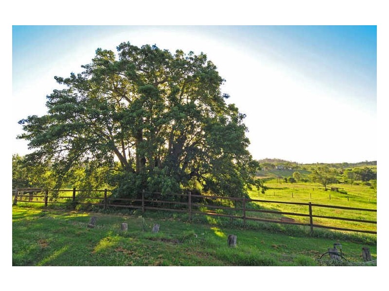 70 Trowers Road, Pine Mountain QLD 4306