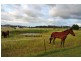17 Queen Street, Marburg QLD 4346