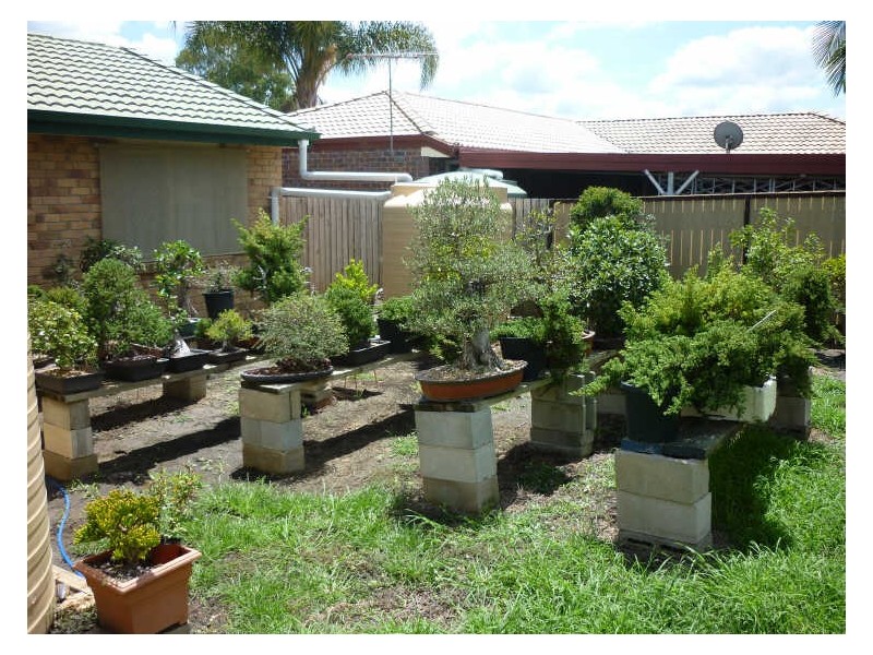 54 Penrose Circuit, Redbank Plains QLD 4301
