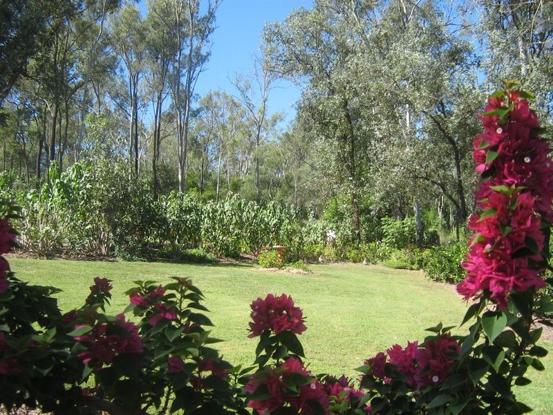 31 Davillea Court, Fernvale QLD 4306