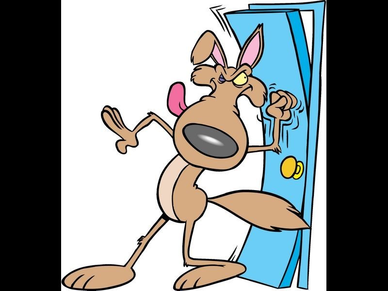 12 Ronayne Circuit, One Mile QLD 4305