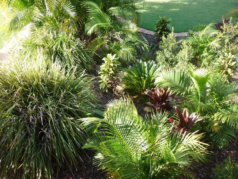 13 Olive Street, Raceview QLD 4305