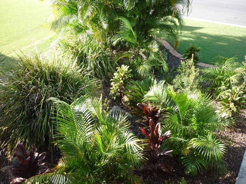 13 Olive Street, Raceview QLD 4305