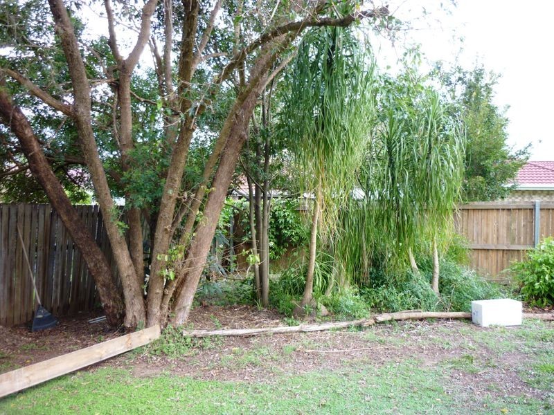 11 Cocos Place, Raceview QLD 4305