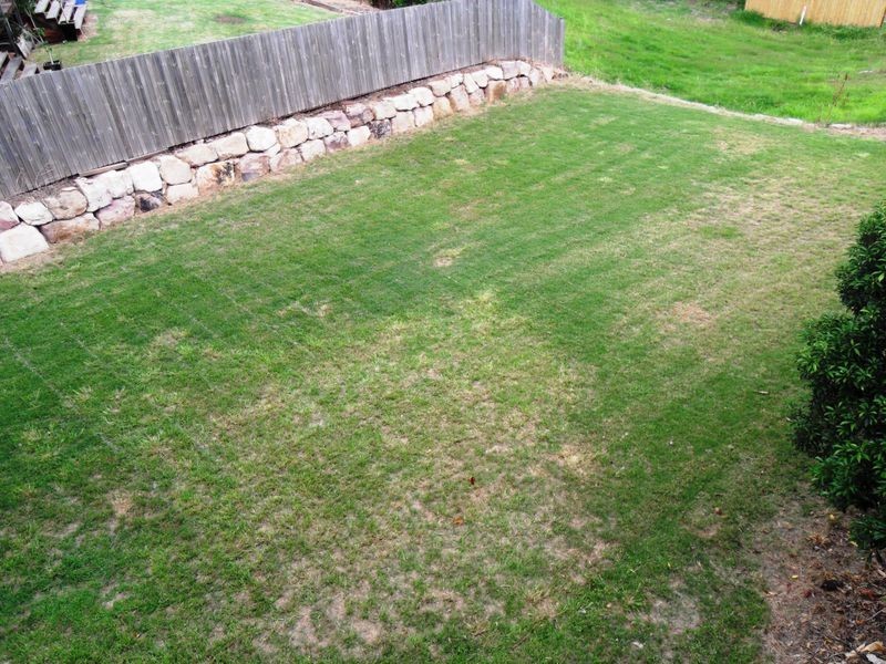 50 Waghorn Street, Ipswich QLD 4305