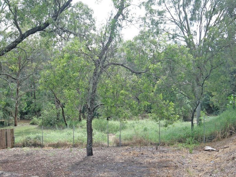 21 Beechwood Drive, Yamanto QLD 4305