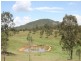 428 Tamrookum Crk Rd, Beaudesert QLD 4285