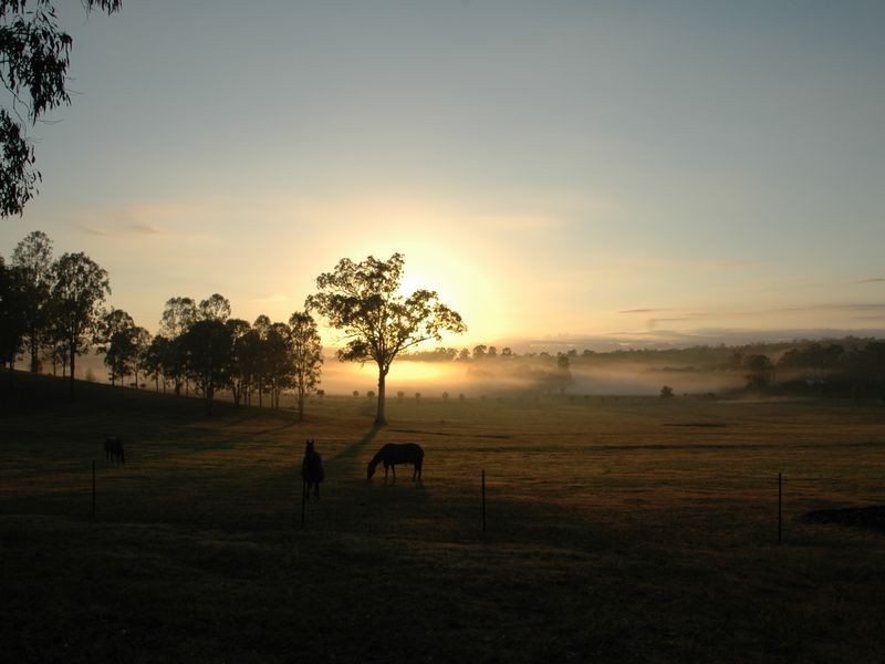 428 Tamrookum Crk Rd, Beaudesert QLD 4285