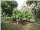 61 Quarry Street, Ipswich QLD 4305