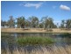 661 Roadvale-Harrisville Road, Aratula QLD 4309
