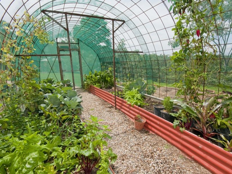 228 Blackwall Road, Chuwar QLD 4306