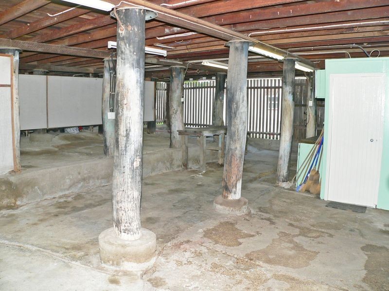 9 Birdwood Street, North Ipswich QLD 4305