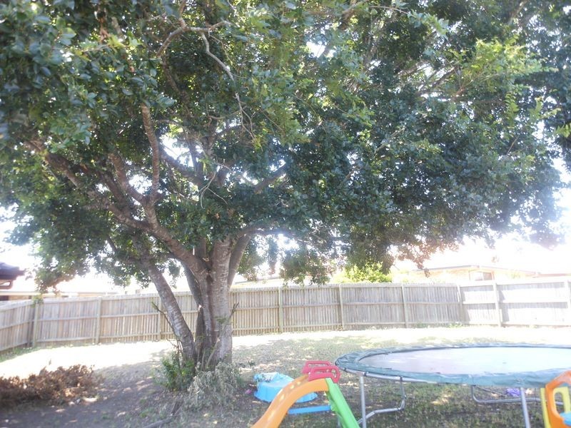 7 Dewhurst Crescent, Raceview QLD 4305
