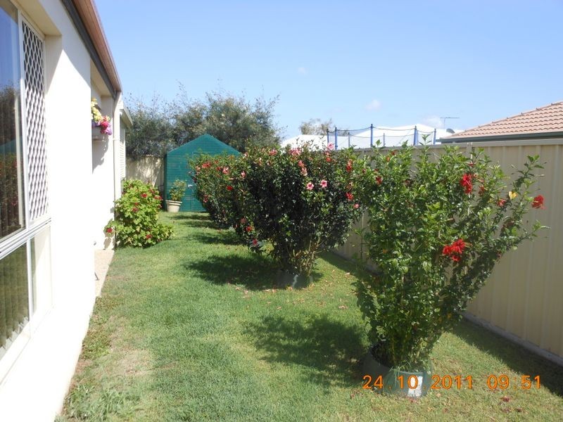 16 Amie Place, Raceview QLD 4305