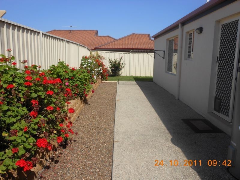 16 Amie Place, Raceview QLD 4305